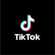 Tik Tok Video Downloader No WM Telegram bot profile picture